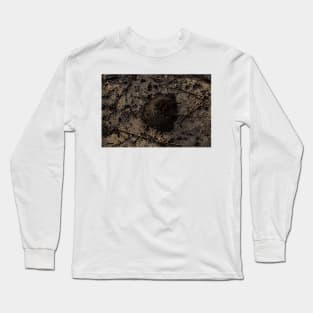 Surfacing From The Sand Long Sleeve T-Shirt